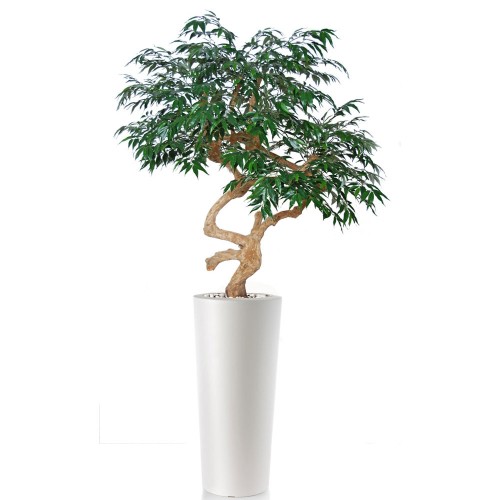 Planta semi-artificiala Ila, Myrsifolia Crown Green - 200 cm